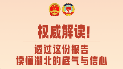 权威解读！透过这份报告 读懂湖北的底气与信心