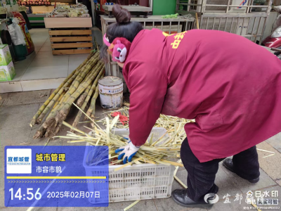 宜都城管：“甜蜜季”也要文明有序