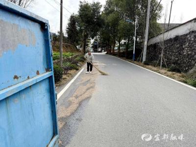 油污“黑龙”突袭村道，网格员机智除险