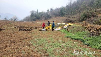 湖北宜都：“农家肥”回归成“新宠儿”