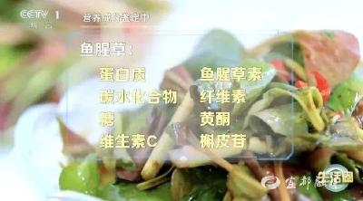 春天易生病？别担心！餐桌上的它，帮你增强免疫力→