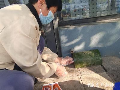 春季病媒生物防制 宜都妇幼“净”出健康环境