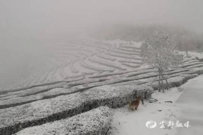 宜都下雪了！