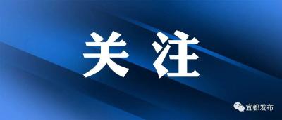 全市经济运行分析暨“开门红、开门好”工作推进会召开