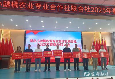 44万红利惠10村！宜都小谜橘这样“分”出大效益