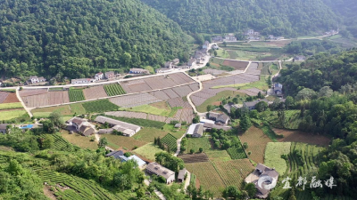 产业抱团“联”出共富新图景