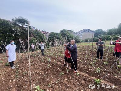 “QQ农场”里 院民重拾劳动乐趣