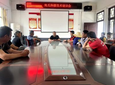 8550株瓜苗“唤醒”南冲村34亩撂荒地