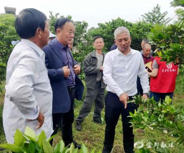 田间课堂传“橘”艺