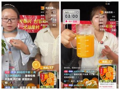 “指尖”奏响振兴曲  “数”说致富新篇章