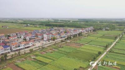 石首市天心洲村：故道之畔“绿”生“金”