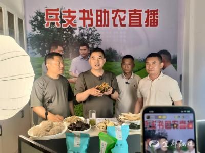 从田间地头到云端矩阵：看五眼泉镇“书记直播间”如何架起共富桥 