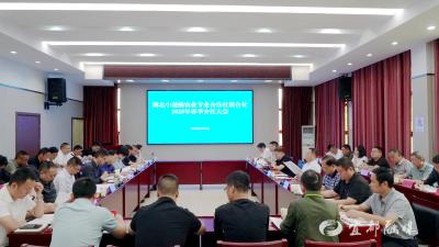 小谜橘联合社春季分红44万元