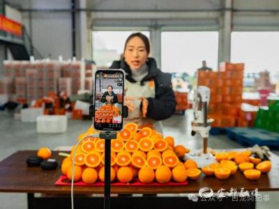 从“峡江特产”到“世界名片”——秭归脐橙产业绘就乡村振兴新图景