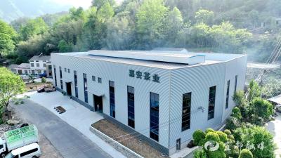 湖北宜都：智能产线为茶产业赋能