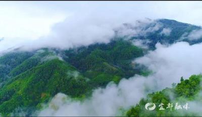文物反差萌？走，云逛宜都市博物馆去~