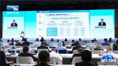2025世界数字教育大会在汉闭幕 《数字教育合作武汉倡议》全球首发