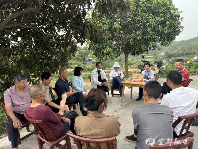 “5号见”活动架起民意桥 共绘农业发展新蓝图