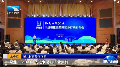 权威发布 | 湖北发布推进楚商回乡工作行动方案 89个重点楚商项目签约
