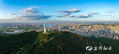 让创新基因像野草一样疯长，武汉市江夏区支持硬核科技突围的故事