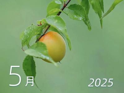 最新放假通知！这次不免费