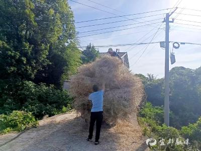 积分制赋能黄莲头村秸秆变“宝”