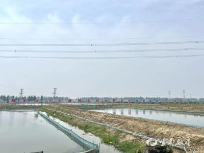 潜江龙虾凭啥“钳”动千亿赛道？秘诀在这里→