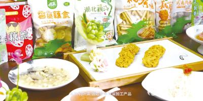 一粒良种“藕”遇“芯”生——汉川莲藕种业创新助推产业跃升