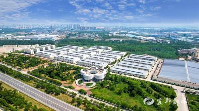 连续3次“开园即满园”，天门服装电商城为何这么火？