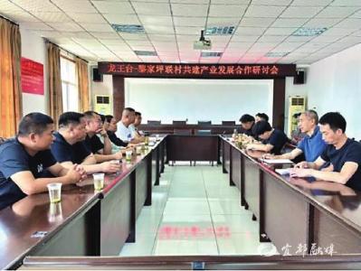 【三峡商报】枝城镇联村共建成果初显