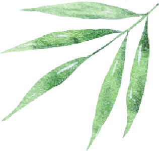 文蕴荆楚 浓情端午——屈原故里宜昌多种形式喜迎中华传统佳节