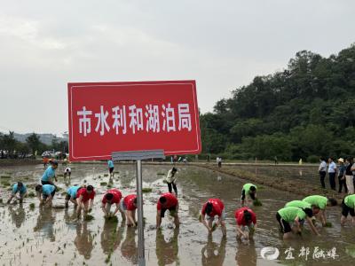 青干下田体农情 科技入村助振兴