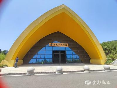 崇阳：“竹业革命”记