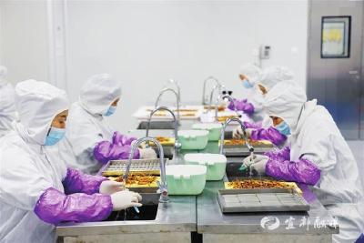 破解人工繁育“密码” 宜昌虫草俏销海外