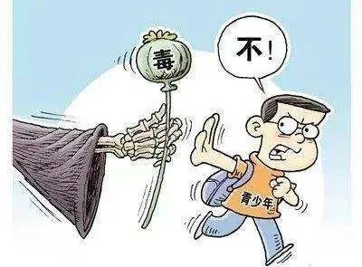 无毒人生 健康生活——青少年禁毒知识宣传