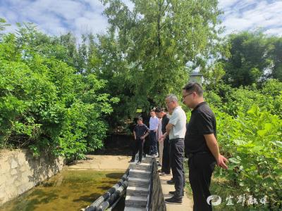 四级代表“5号见”，一线履职纾民困