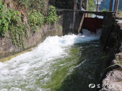 幸福渠开闸！宜都6.8万亩农田迎来“生命之水”