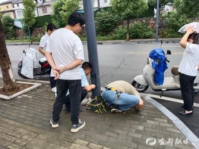 狗子碰到路灯惊跳，牵出漏电安全保卫战……
