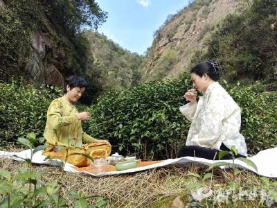 从新闻人到新农人，一位宜都女儿的跨界乡愁与茶香征程