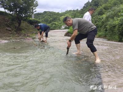 白玉垴村“预”“实”结合筑牢防汛堤