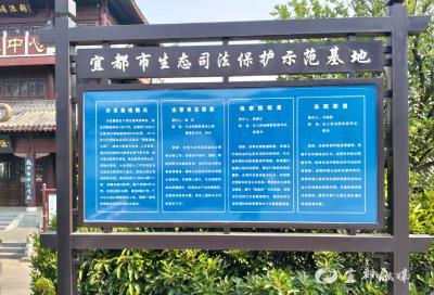解码宜都林长制：生态保护如何“长出”发展动能