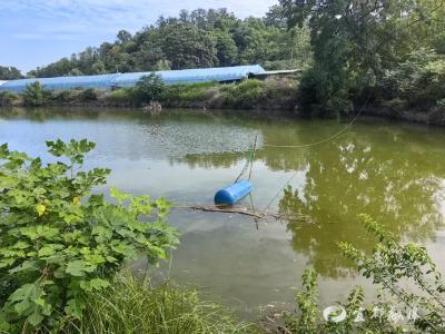 提水润粮田 守稳粮油安