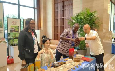非洲外宾品茶论合作：“我们需要更多湖北方案”
