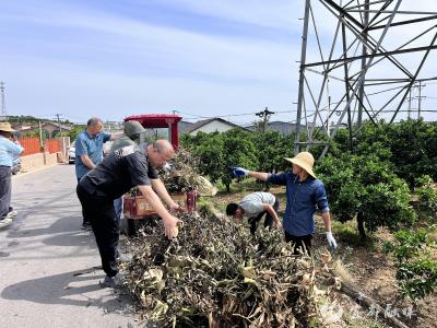 “棚渣杆院房”齐整治：陈家岗村奏响人居环境提升“欢乐颂”