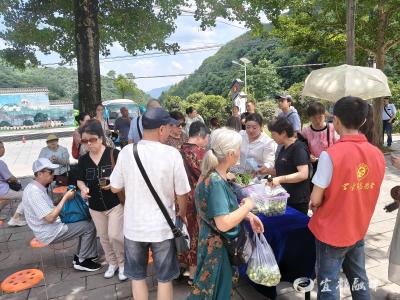 临时“小菜场”里的双向奔赴：村社共建助农惠民