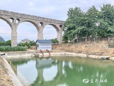 青山湖泵站通水，“远水”解了橘园“近渴”！