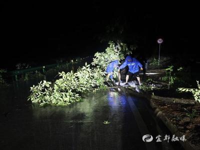 为了人民群众生命财产安全——宜昌市防汛救灾一线见闻