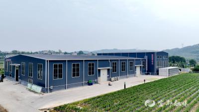 枝城：项目储备库激活乡村发展“新动能”
