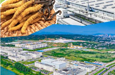 宜都高新区2个集群再度入选省县域特色产业集群