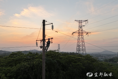 跑出电网升级“加速度” 打赢度夏攻坚战